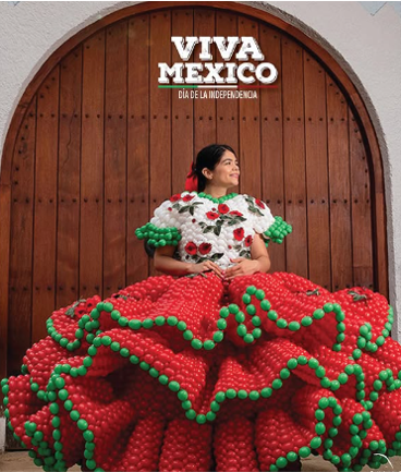 Curso Online de Twister Desde Cero